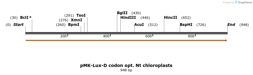 235751_map