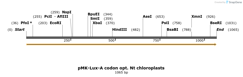 235753_map