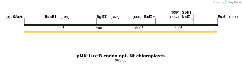 235755_map