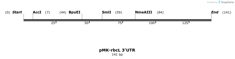 235763_map