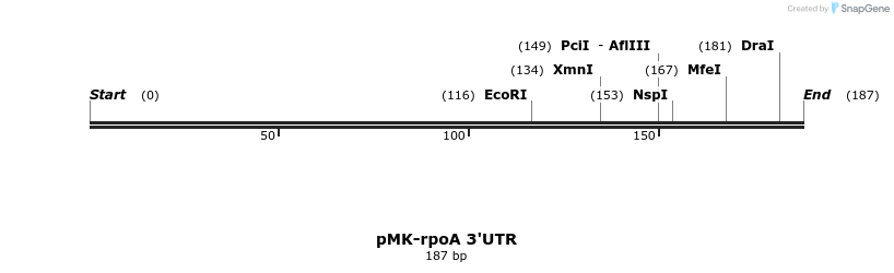 235767_map
