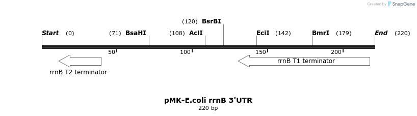 235769_map