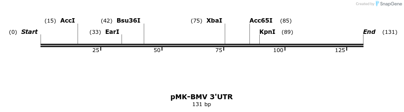 235777_map
