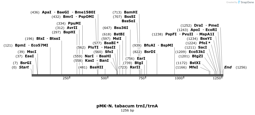 235781_map