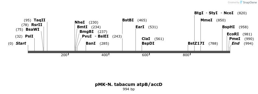235790_map