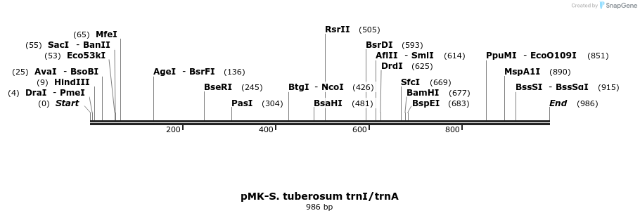 235794_map