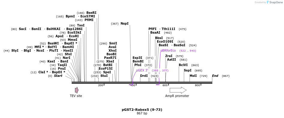 23581_map