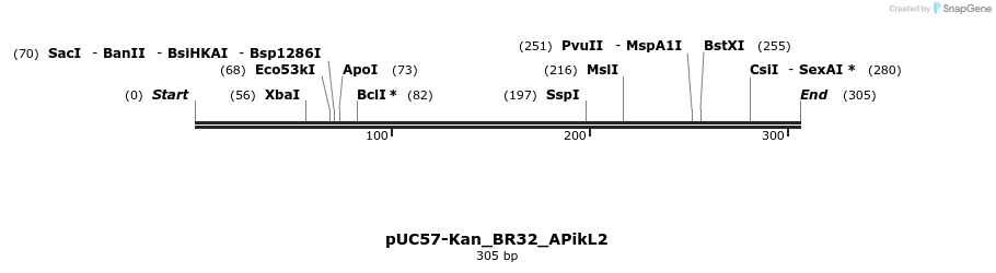 235899_map