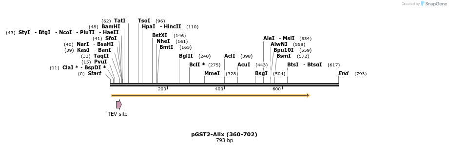 23590_map