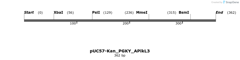 235905_map