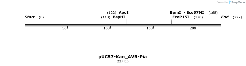 235907_map