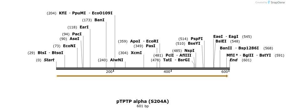 23593_map