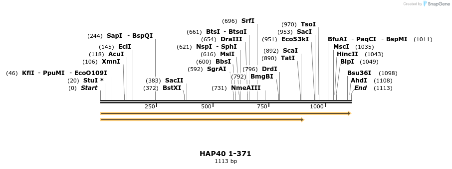 235933_map