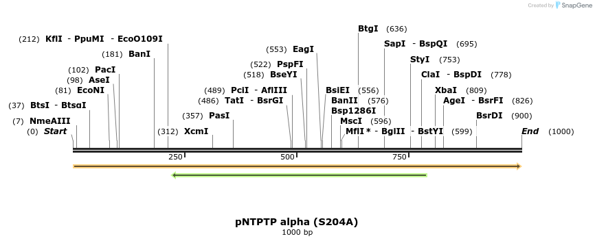 23597_map