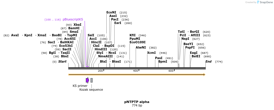 23602_map