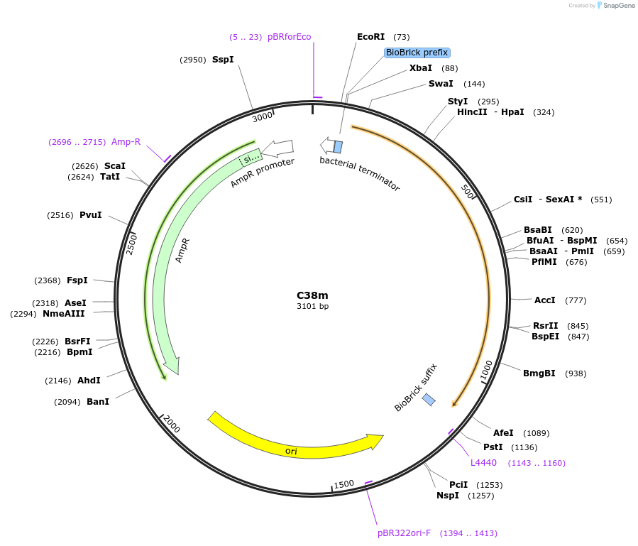 236023_map