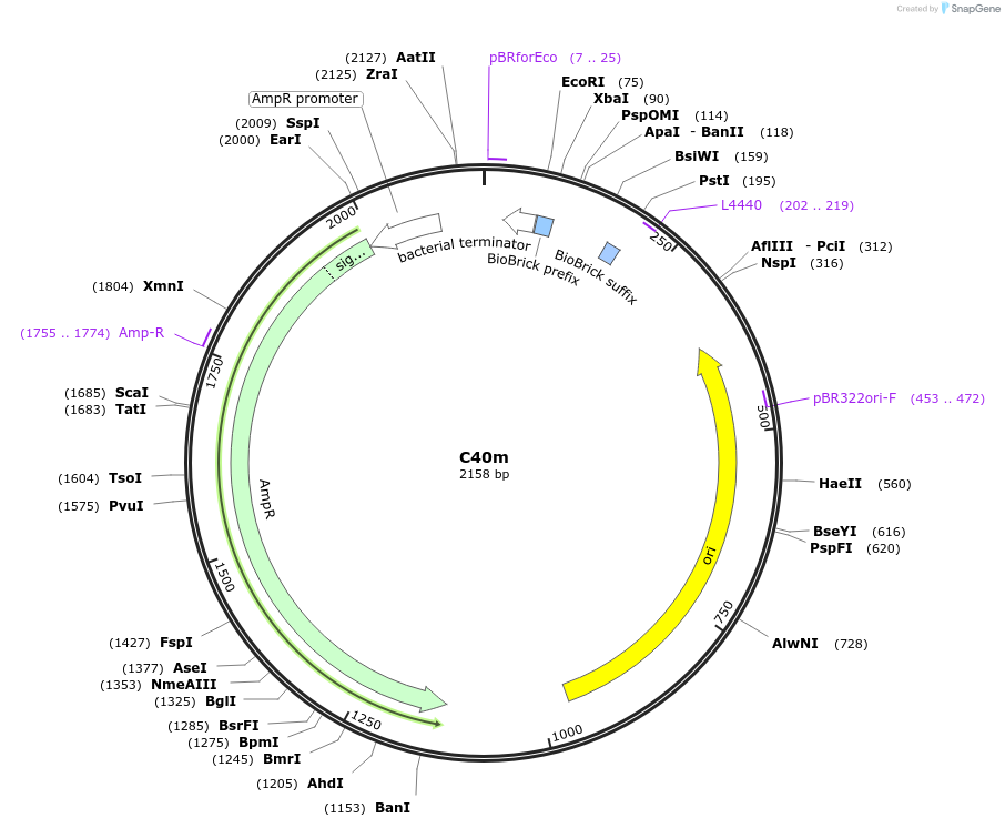 236027_map