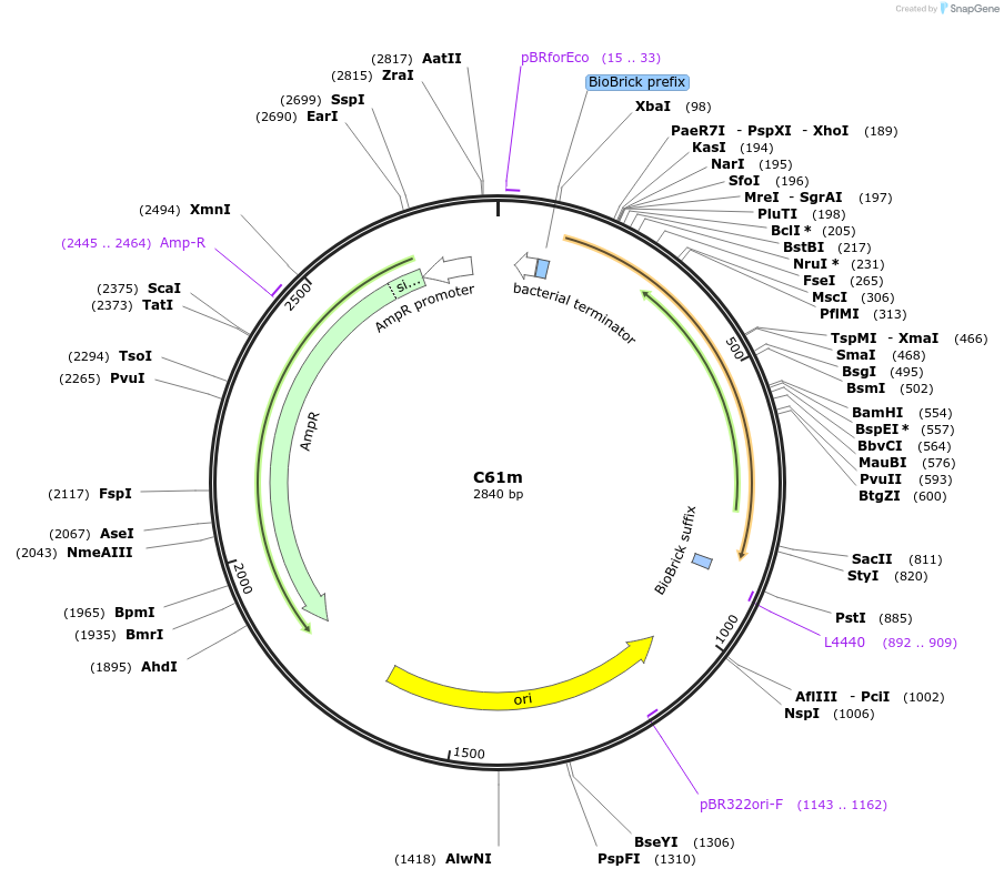 236031_map