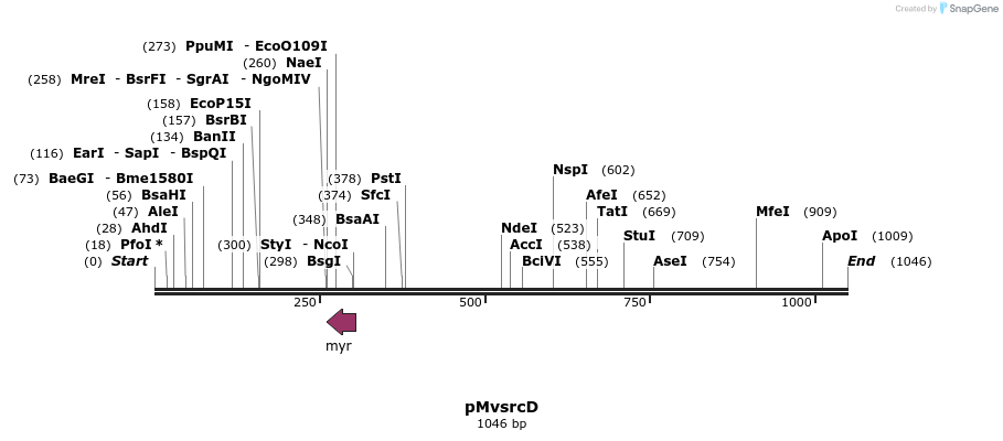 23604_map