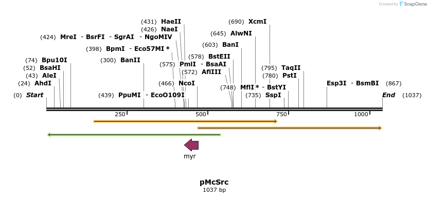 23605_map