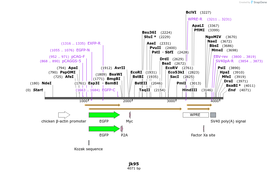 236064_map