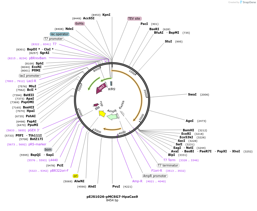 236099_map