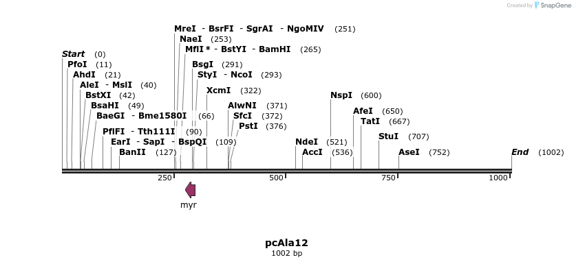 23612_map