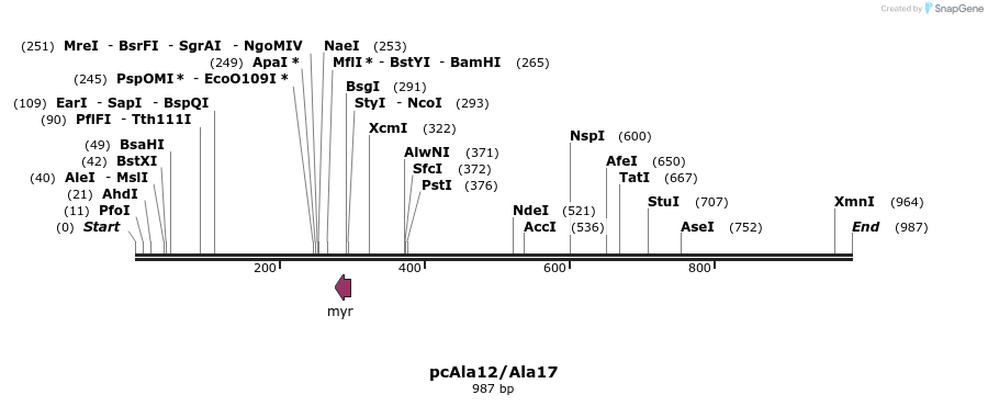 23614_map