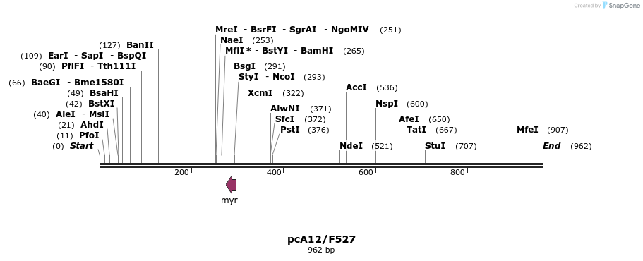 23615_map
