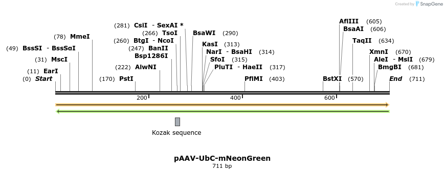 236168_map