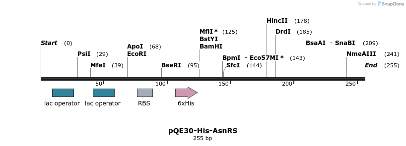 236207_map