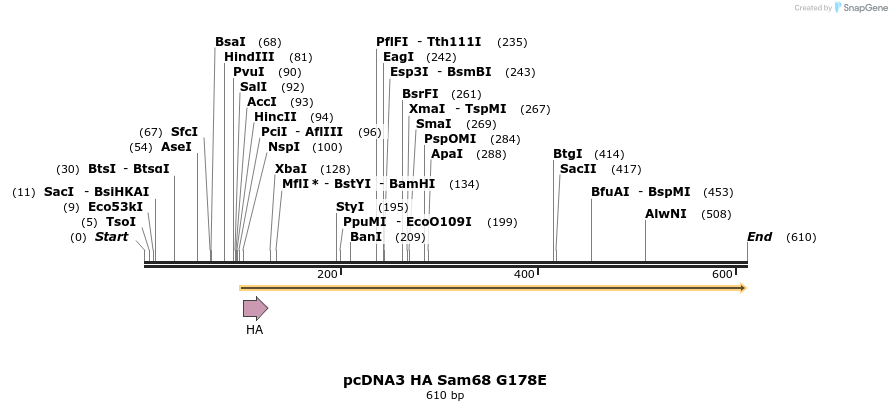 23621_map