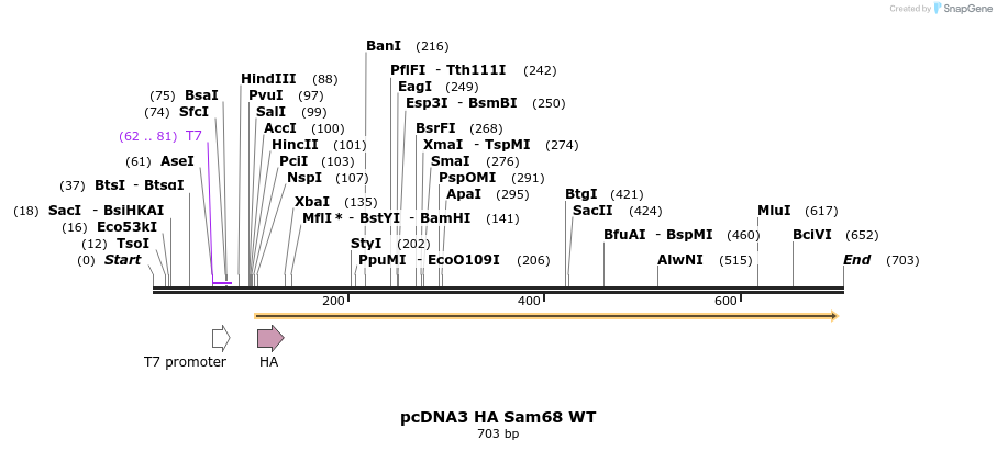 23622_map