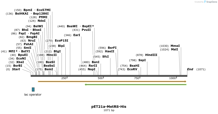 236228_map