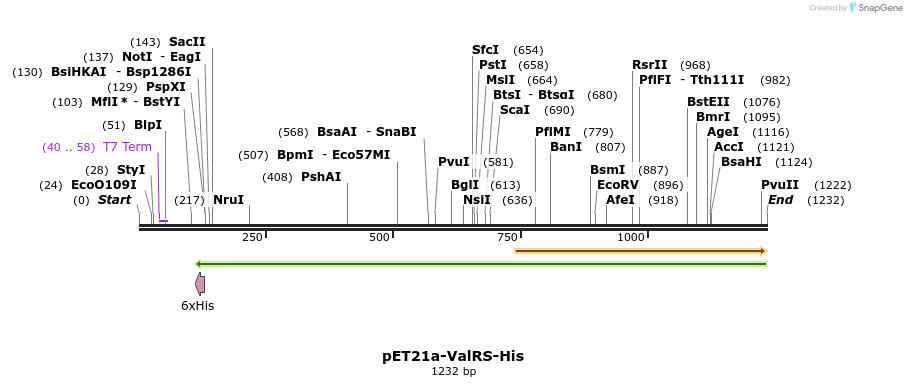 236241_map