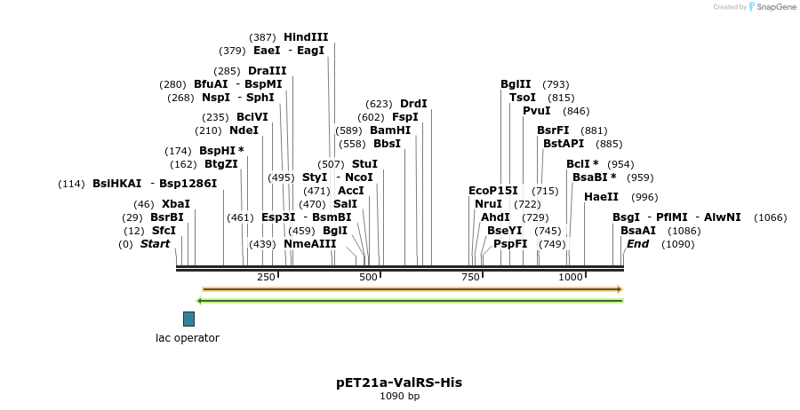 236242_map