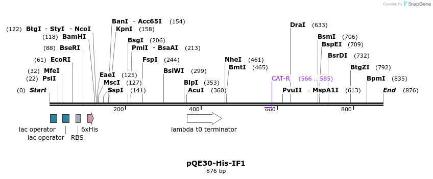 236243_map