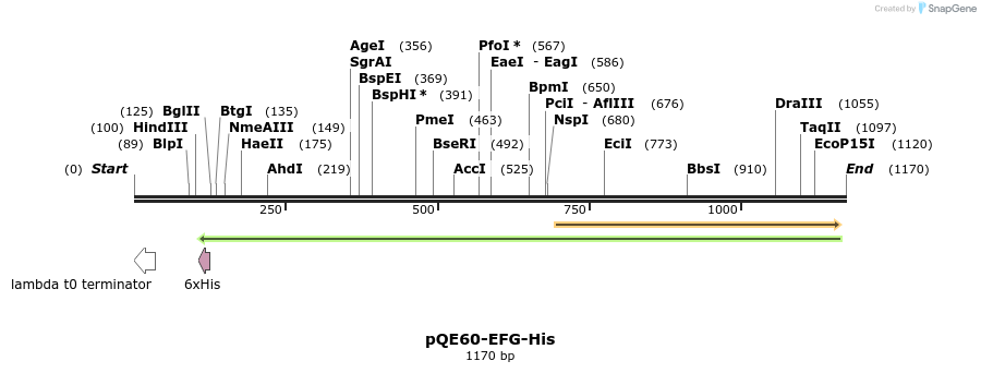 236249_map