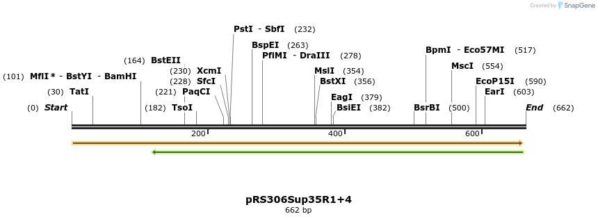 23645_map
