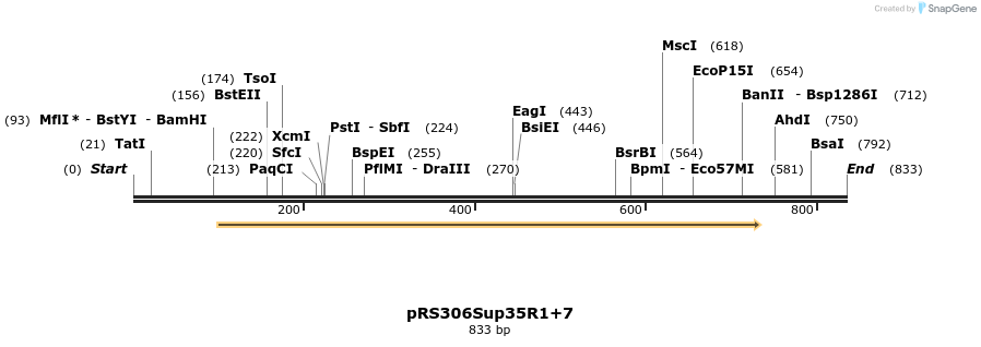 23648_map