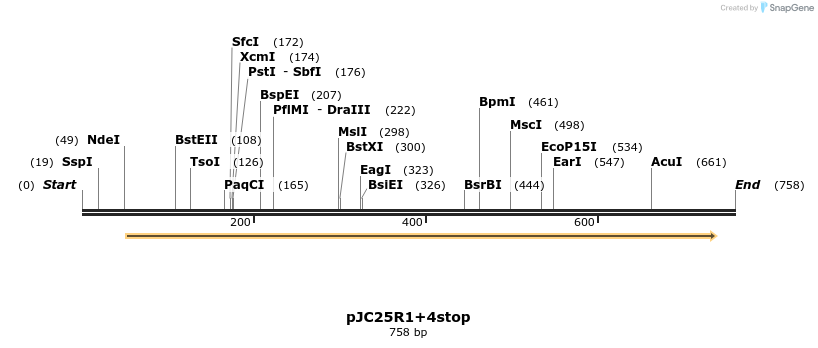 23651_map
