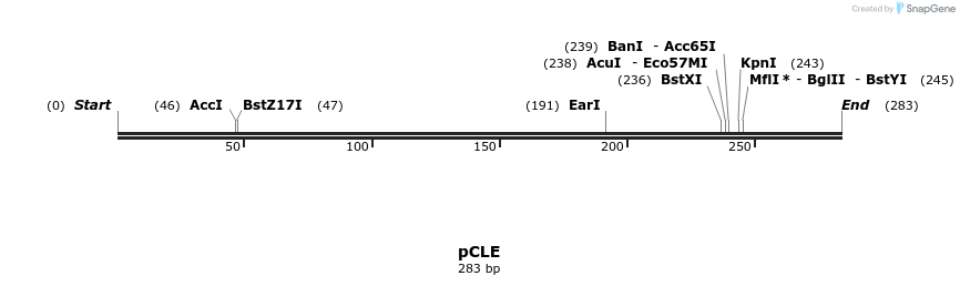 23658_map