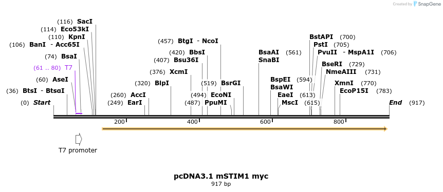 23663_map