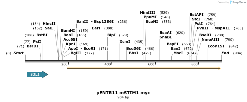 23664_map