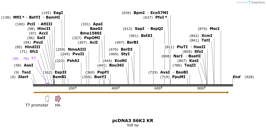 23667_map