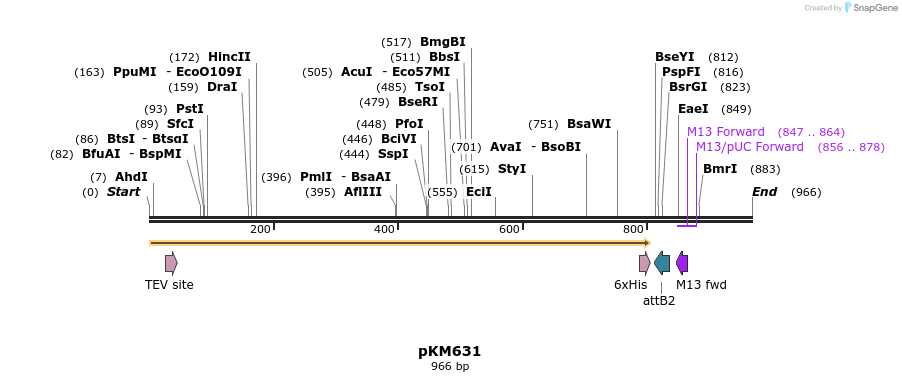 23672_map