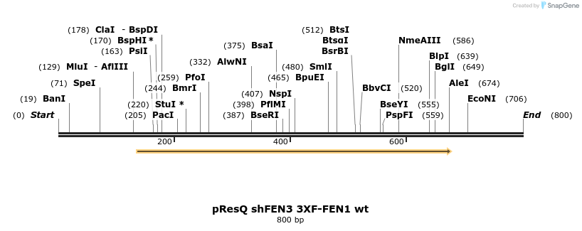 23678_map