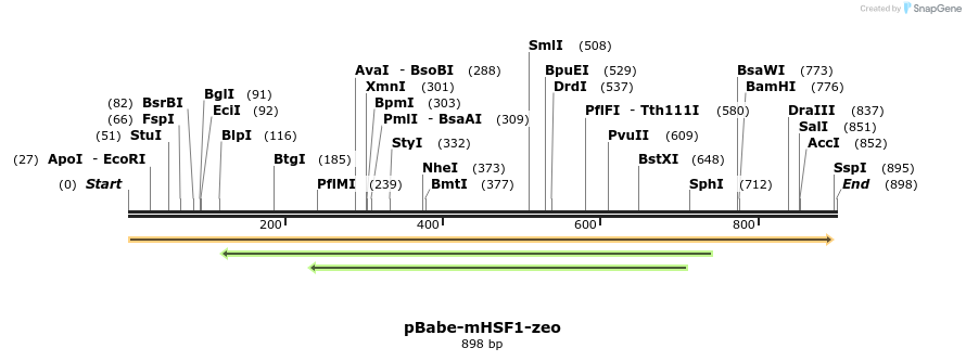 23682_map