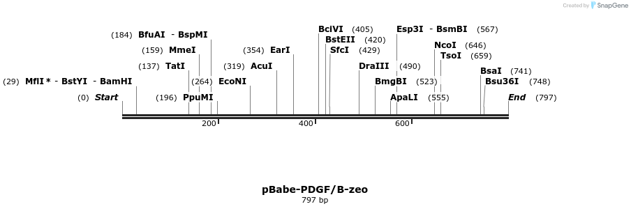 23684_map