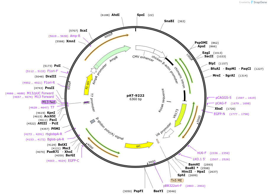 236898_map